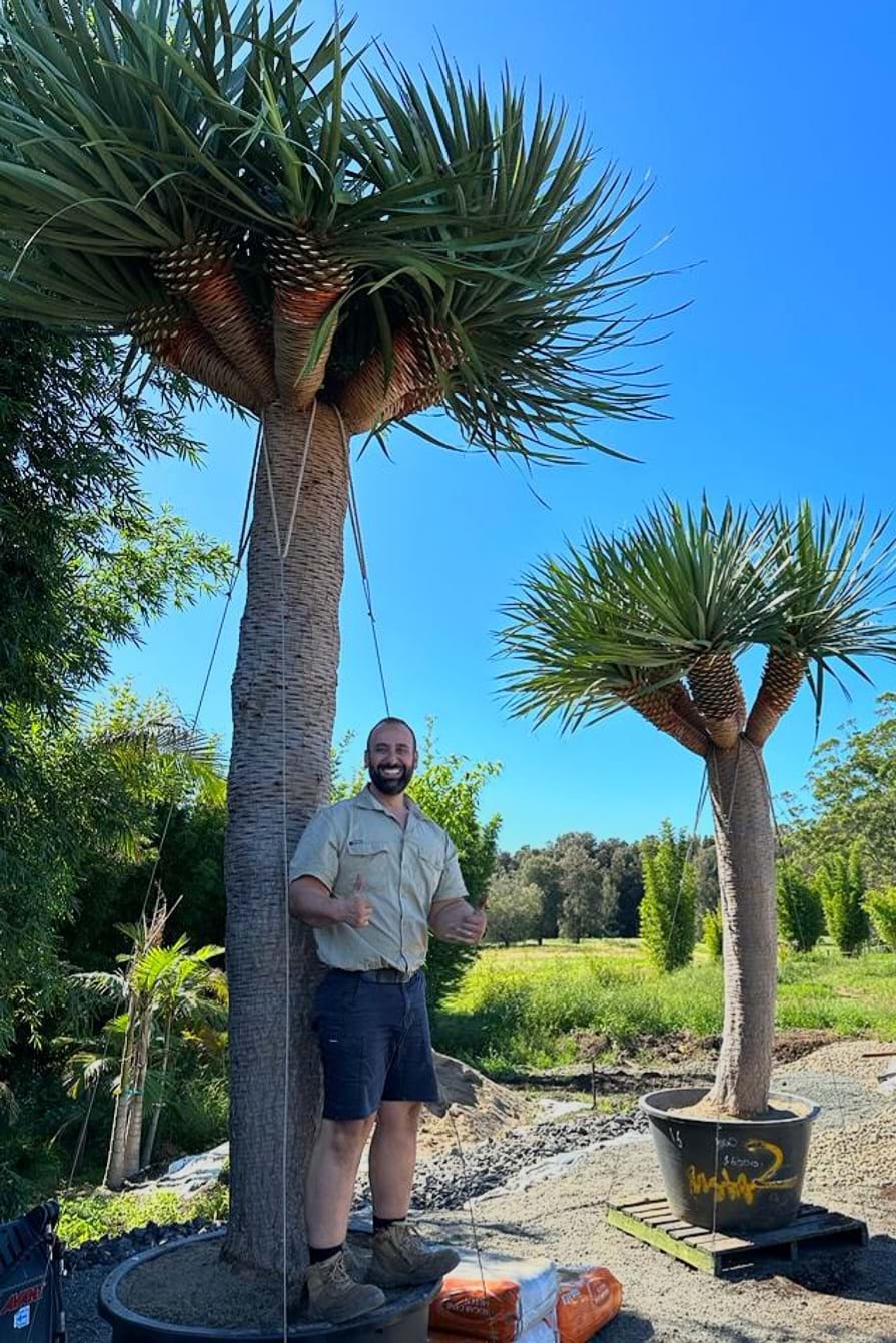 why should you choose